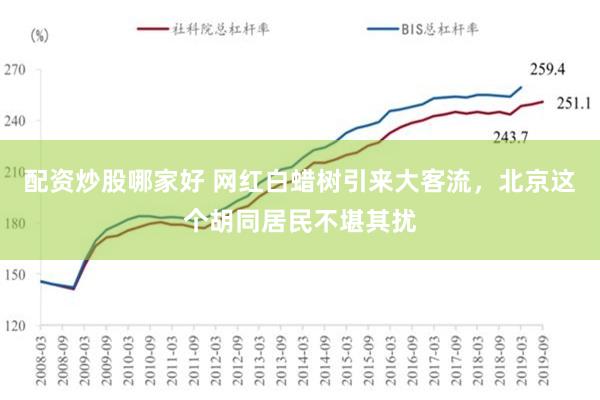 配资炒股哪家好 网红白蜡树引来大客流，北京这个胡同居民不堪其扰