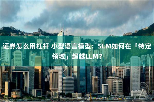 证券怎么用杠杆 小型语言模型：SLM如何在「特定领域」超越LLM？