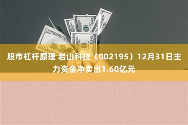 股市杠杆原理 岩山科技（002195）12月31日主力资金净卖出1.60亿元