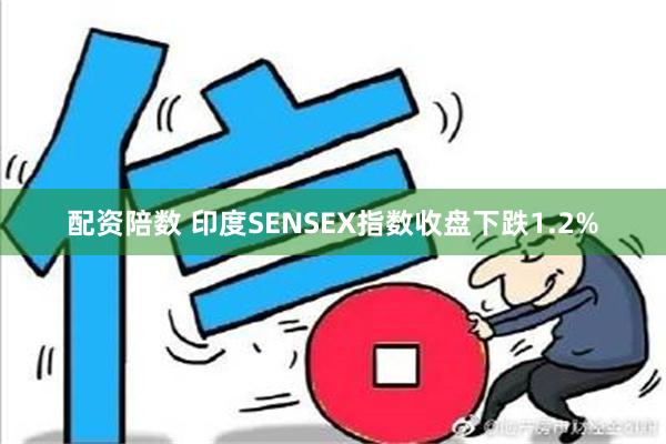 配资陪数 印度SENSEX指数收盘下跌1.2%